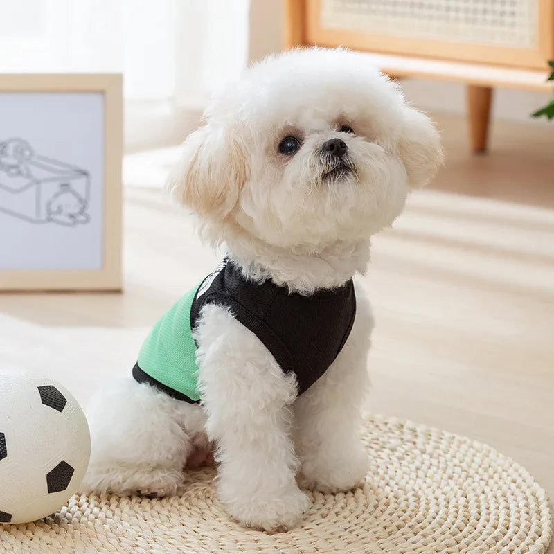 Roupa Para Cachorro The Dog Face R - ROUPA -101