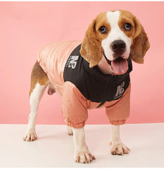 Jaqueta Softshell Pet para Cães e Gatos com Logo NB e Ajuste Anatômico