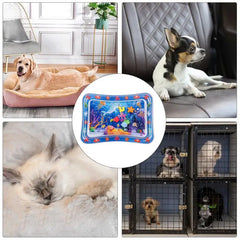 Tapete Aquático Sensorial Para Pet Luna LN456 Tabete Aquatico - 01