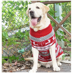 Roupa Pet Inverno com Listras e Estampa em Tricô Premium