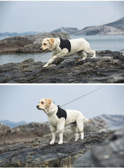 Macacão de Chuva para Cães Full Body com Faixas Refletivas