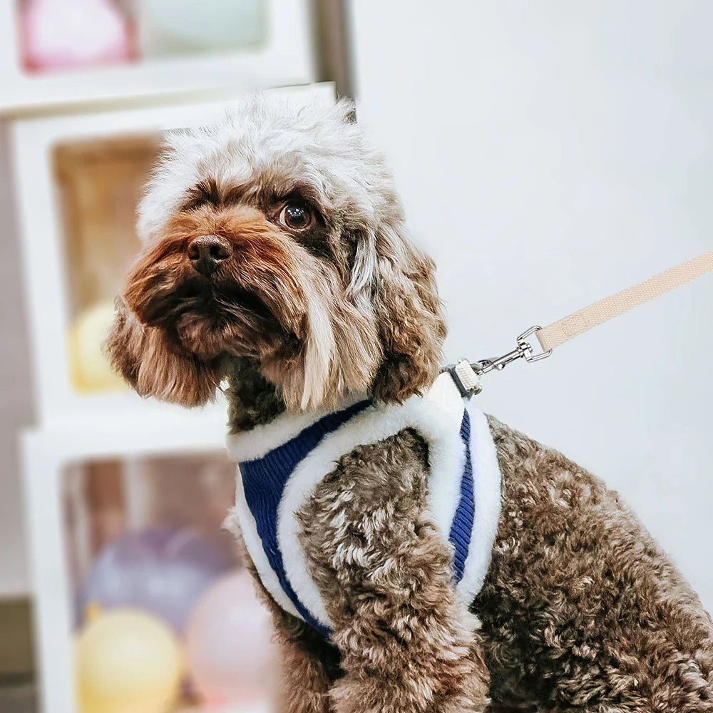 Conjunto Guia e Peitoral Peluciado Para Cães - Nibbles