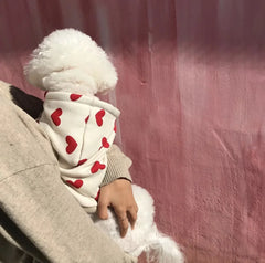 Moletom para cachorro com capuz e corações vermelhos