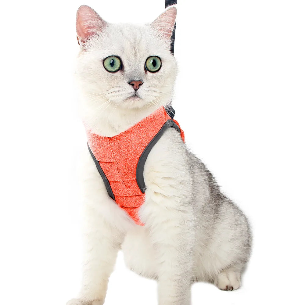 Peitoral Para Gato Com Guia Ajustável E Fecho Seguro