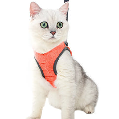Peitoral Para Gato Com Guia Ajustável E Fecho Seguro