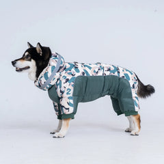 Roupinha Estilo Bomber para Pet com Design Casual