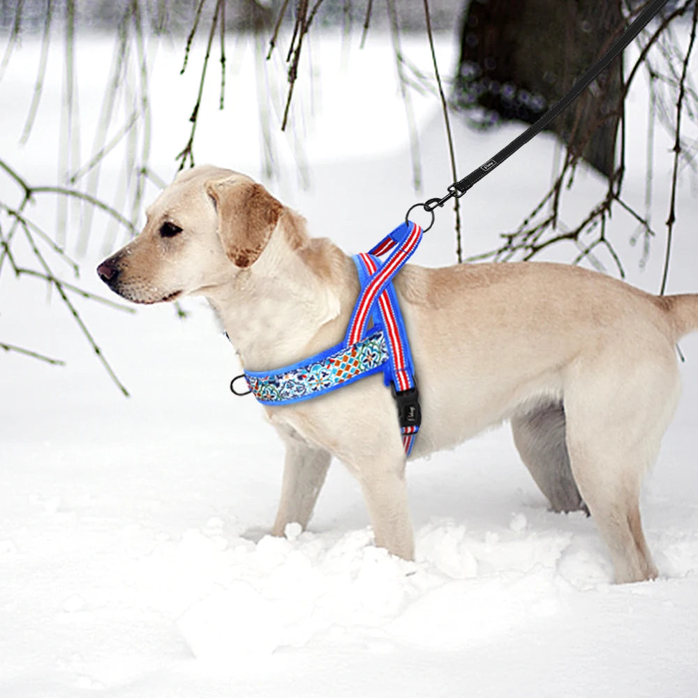 Guia Macia para Cachorros Grandes e Pequeno PawGlam