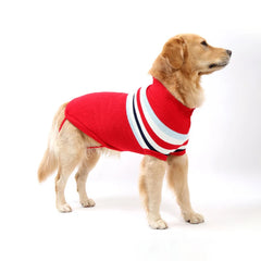 Roupa Pet Inverno com Listras e Estampa em Tricô Premium