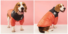Jaqueta Softshell Pet para Cães e Gatos com Logo NB e Ajuste Anatômico