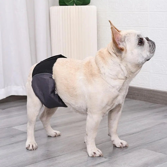Fralda Higiênica Para Cachorro Macho - Harley S - Fralda cachorro - 02