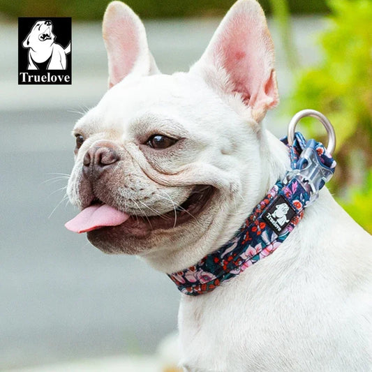 Coleira Floral Ajustável para Cães Luna LN5273 C - COLEIRA -12