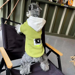 Moletom Para Cachorro Com Capuz BiCor E Bolso Estilizado