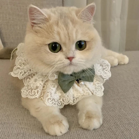 Colar Para Gatos Em Renda Com Laço De Cetim Estilo Clássico
