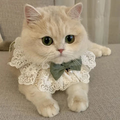 Colar Para Gatos Em Renda Com Laço De Cetim Estilo Clássico