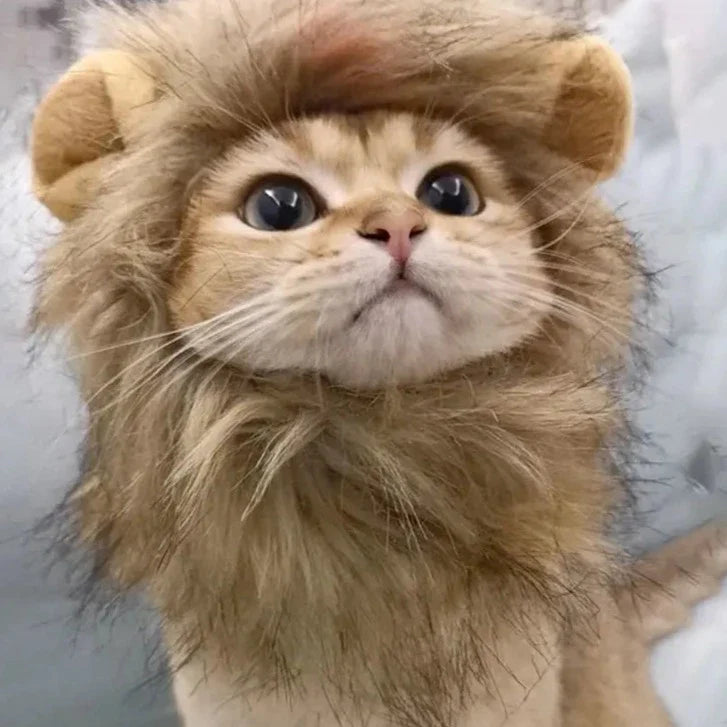 Peruca de leão para gatos e cachorro C - PERUCA - 01