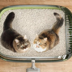 Caixa de Areia para Gatos - Areux A - CAIXA AREIA - 01