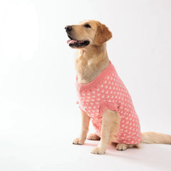 Roupa Estampada de Inverno para Cães