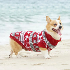 Roupa Pet Inverno com Listras e Estampa em Tricô Premium