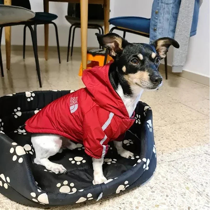 Casaco Impermeável Para Cachorro R - ROUPA - 90