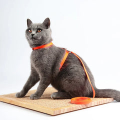 Peitoral e Guia para Gatos Luna LN912 C - COLEIRA - 26