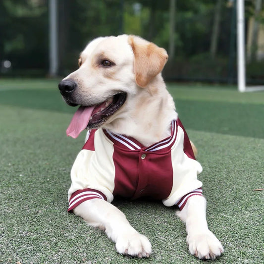 Jaqueta de Inverno Uniforme de Beisebol R - ROUPA - 102