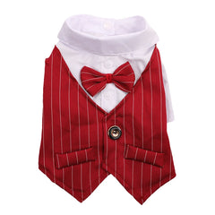 Roupa Social para Gato com Gravata Borboleta