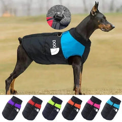 Jaqueta Softshell para Cães Grandes com Design Bicolor e Refletivos