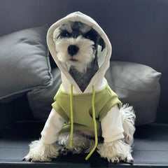 Moletom Para Cachorro Com Capuz BiCor E Bolso Estilizado