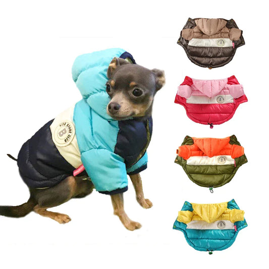 Jaqueta De Inverno Listrada Para Cachorro - Trix R - ROUPA -LNR2O