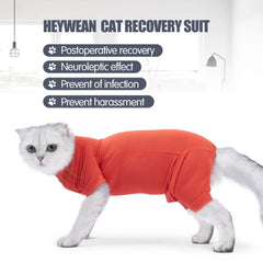 Roupa de Recuperação Pet Anatômica para Pós-Cirurgia ou Castração