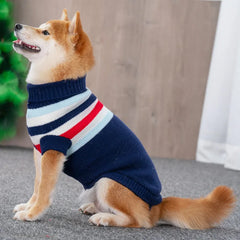 Roupa Pet Inverno com Listras e Estampa em Tricô Premium