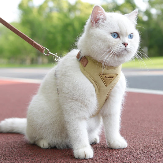 Peitoral com Guia para Gatos Confortável