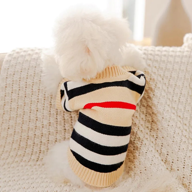 Suéter de Inverno para Cães Pequenos - Winter Chic R - ROUPA - 109