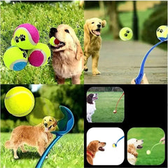 Vara de Lançamento de Bolinhas para Cães B - arremecador - 01