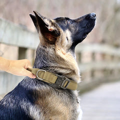 Coleira e Guia de Treinamento para Cachorro C - COLEIRA E GUIA