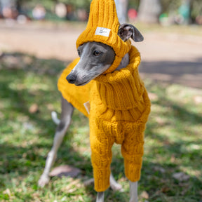 Roupinha De Tricô Para Cachorro Galgo - Jazz