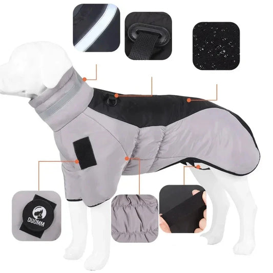 Roupa de Inverno Pet com Design Esportivo e Forro Térmico