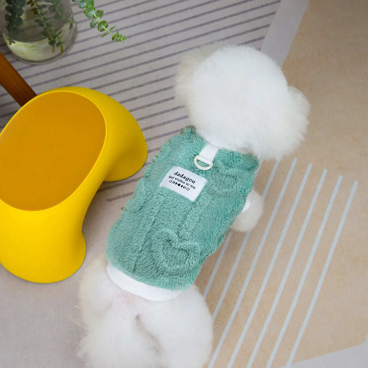 Suéter de Tricô para Cães e Gatos Pequenos — Aconchego