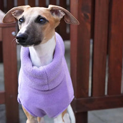Colete Quente Para Cachorro Galgo