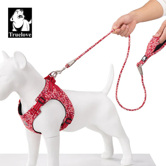 Coleira e Guia Floral para Cães Luna LN2573 C - COLEIRA - 23