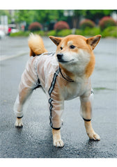 Capa de Chuva Pet Full Body Transparente com Capuz Ajustável