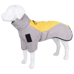 Roupa de Inverno Pet com Design Esportivo e Forro Térmico