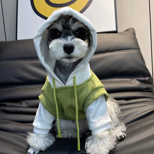 Moletom Para Cachorro Com Capuz BiCor E Bolso Estilizado