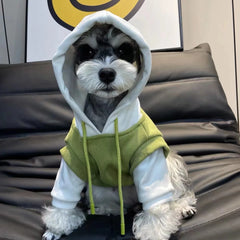 Moletom Para Cachorro Com Capuz BiCor E Bolso Estilizado