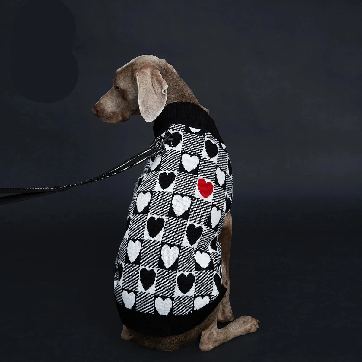 Suéter de Inverno para Cachorro com Estampa de Coração