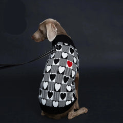 Suéter de Inverno para Cachorro com Estampa de Coração