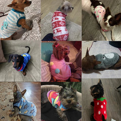 Colete de Inverno para Cães e Gatos Pequenos — Puffer Flanela