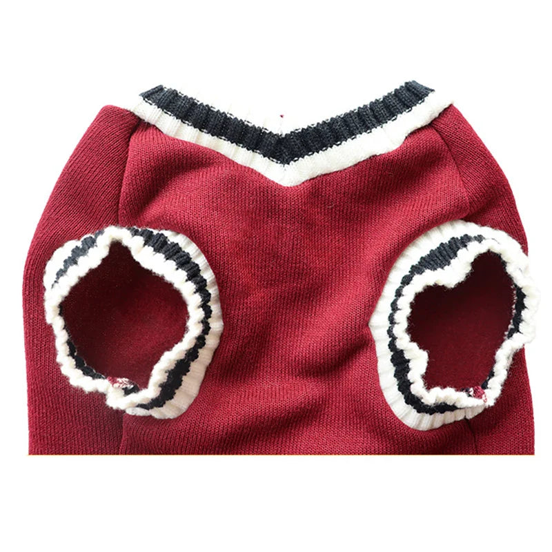 Moletom Universitario Para Gatos - Chill R - ROUPA - 86