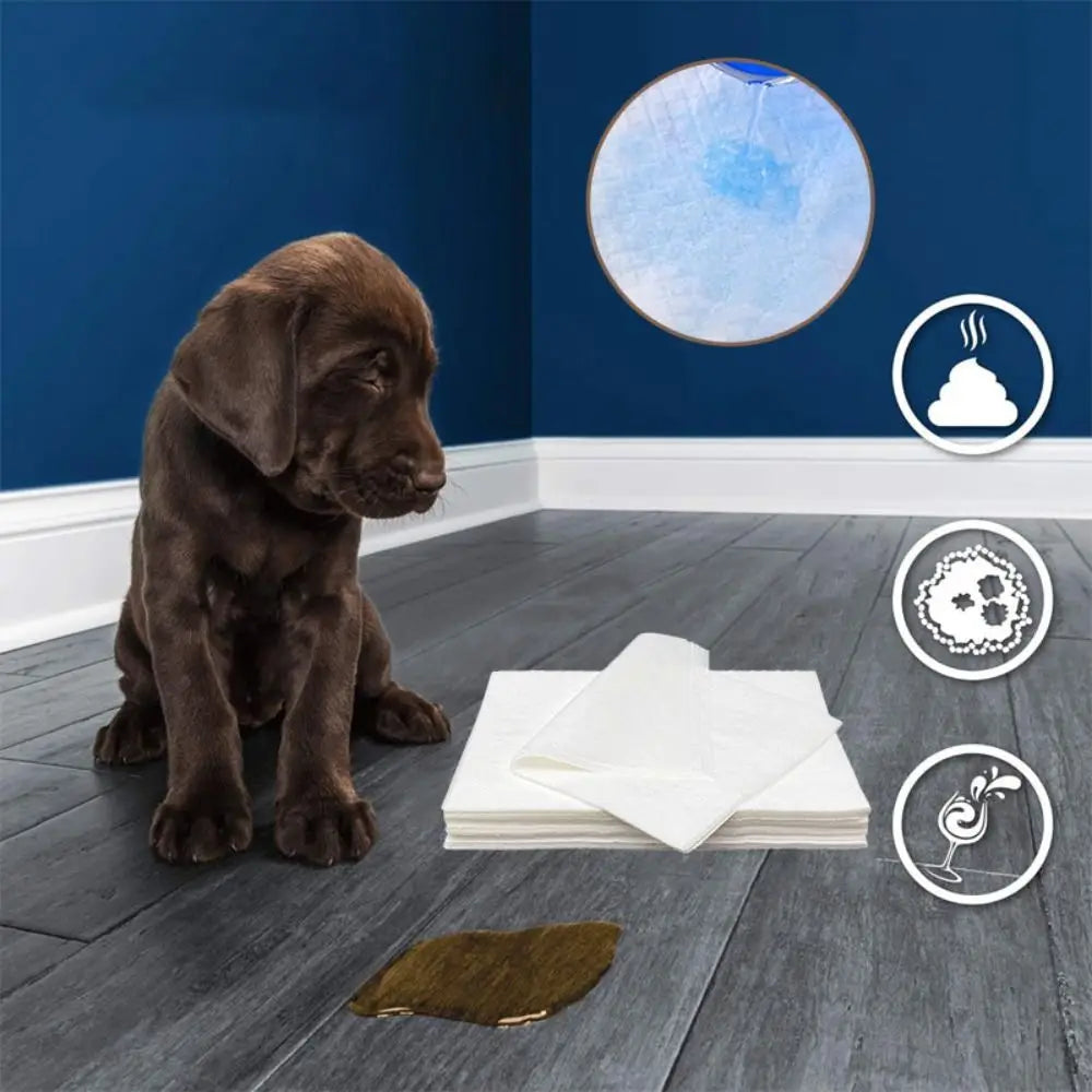 Papel Toalha Ultra Absorvente Para Pet - Xinow 50PCS A - Papel Abs - 01