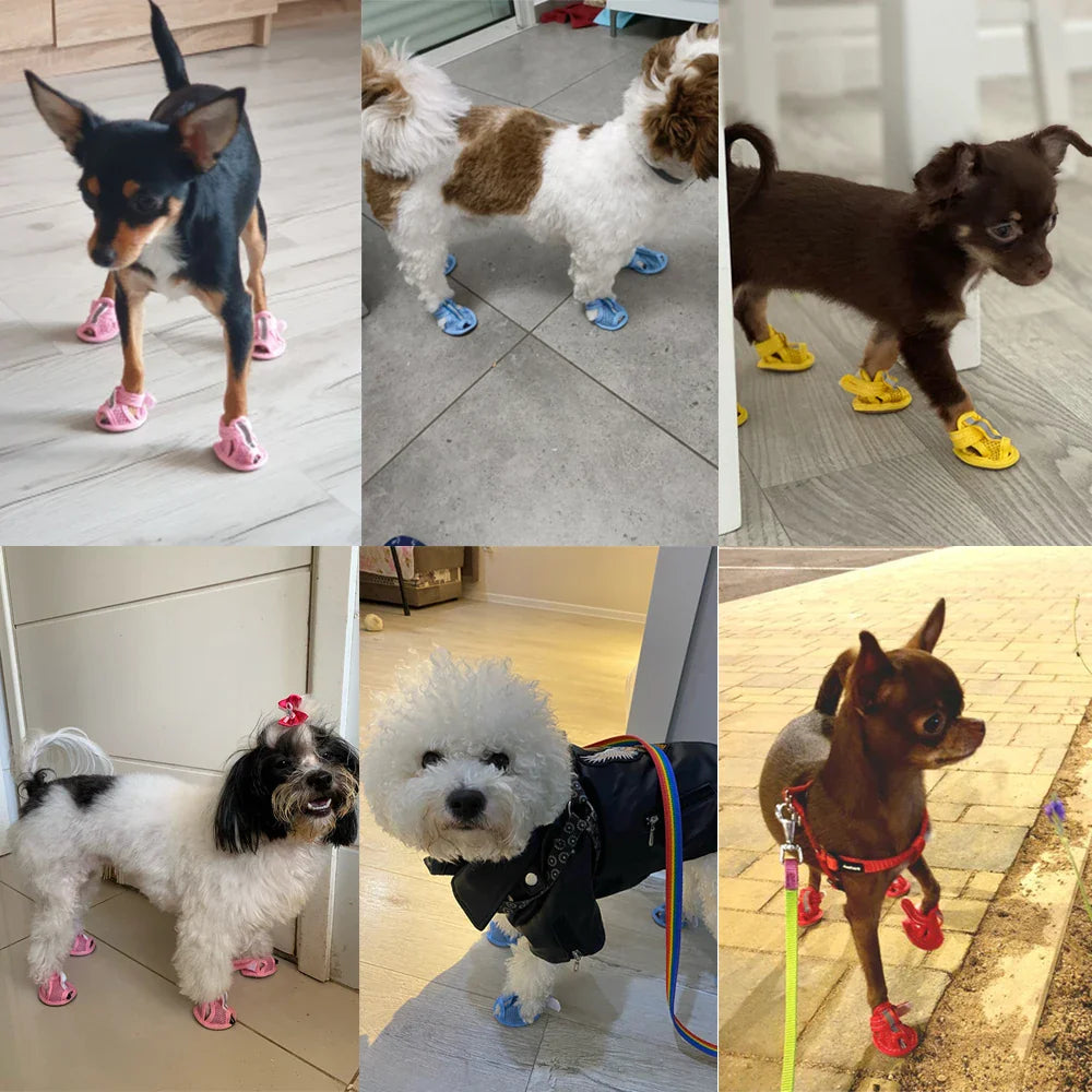 Sapatos de Verão para Cães Luna LN372 Luna R06